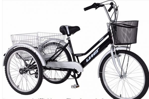 Volwassen-Driewieler-Cargo-24-inch-Rood