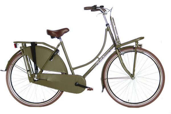 static omafiets N3 28 inch met voordrager mat groen