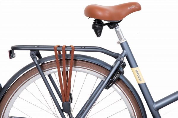Froze Damesfiets 28 inch Transportfiets meisjesfiets 1