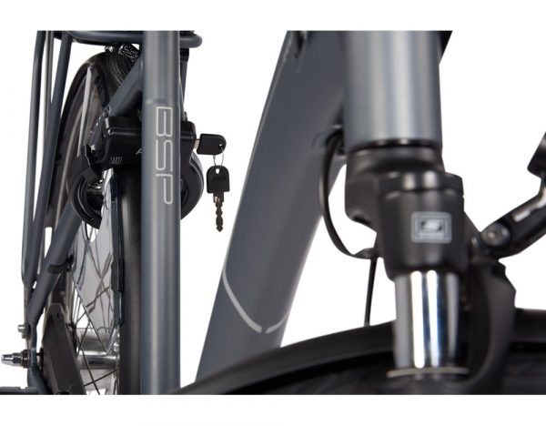 BSP Hermitage E elektrische damesfiets platina grijs glans