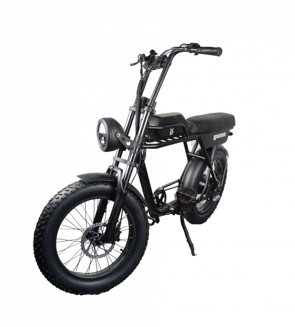 AGM GT250 elektrische Fatbike E Bike