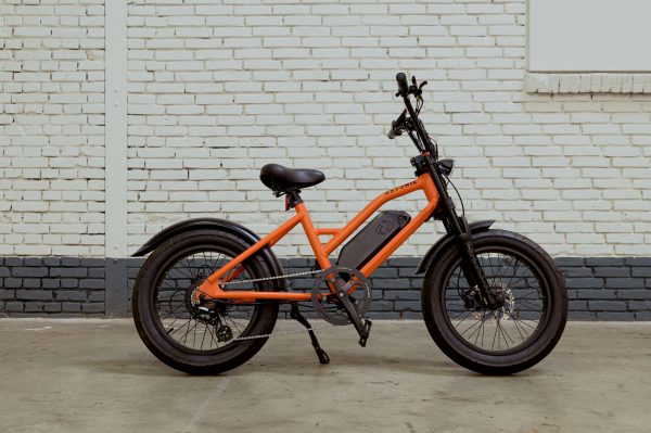Elektrische fatbike efatbike-astonic-fatbike-80-1