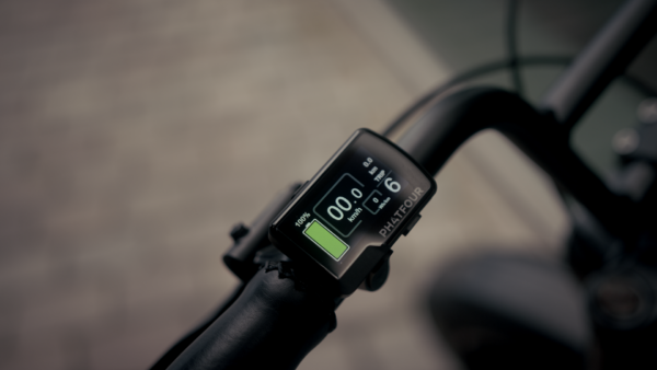Phat Four FLX fat-bike mat-zwart Display