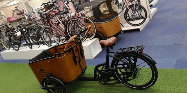 Lastenrad Cargo bakfiets Cangoo Buckle bakfiets 2023