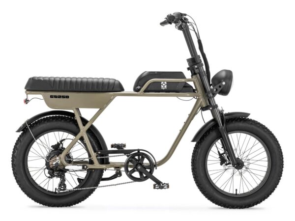 Fat-bike AGM-GT250-Groen