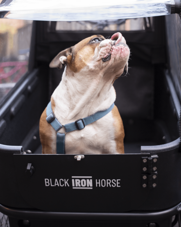 Black Iron Horse PONY 2 Dog Elektrische bakfiets White-L1008557-1 White-L1008559-1500x1002 L1008572-1500x1875