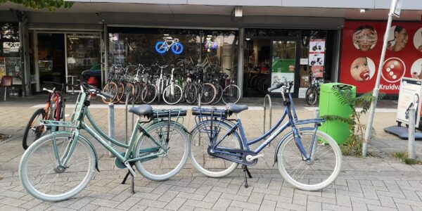 Vogue Elite Elektrische transportfiets N3 2020 Groen